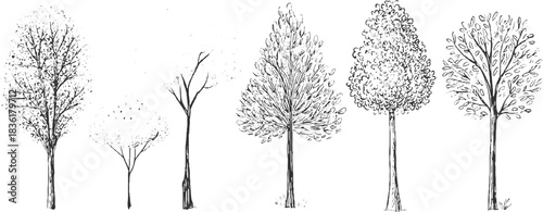 Five hand drawn black ink trees on white background various shapes and sizes nature plant