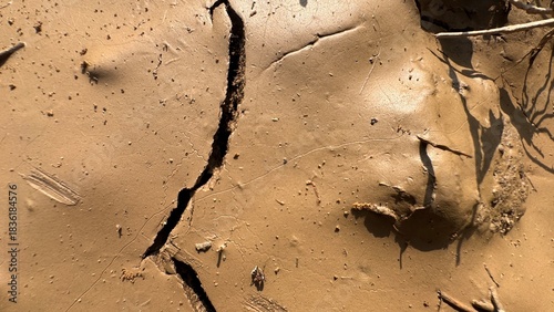 Cracked dry soil surface showing natural earth texture, deep fracture lines, organic patterns and detailed ground structure captured in warm sunlight on white background