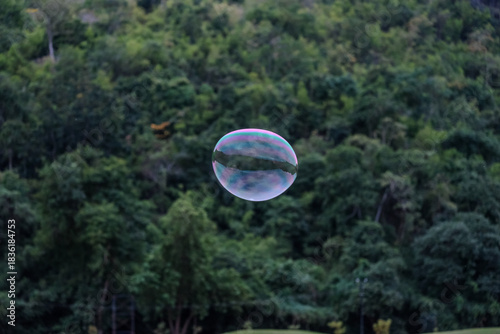 soap bubbles in the park