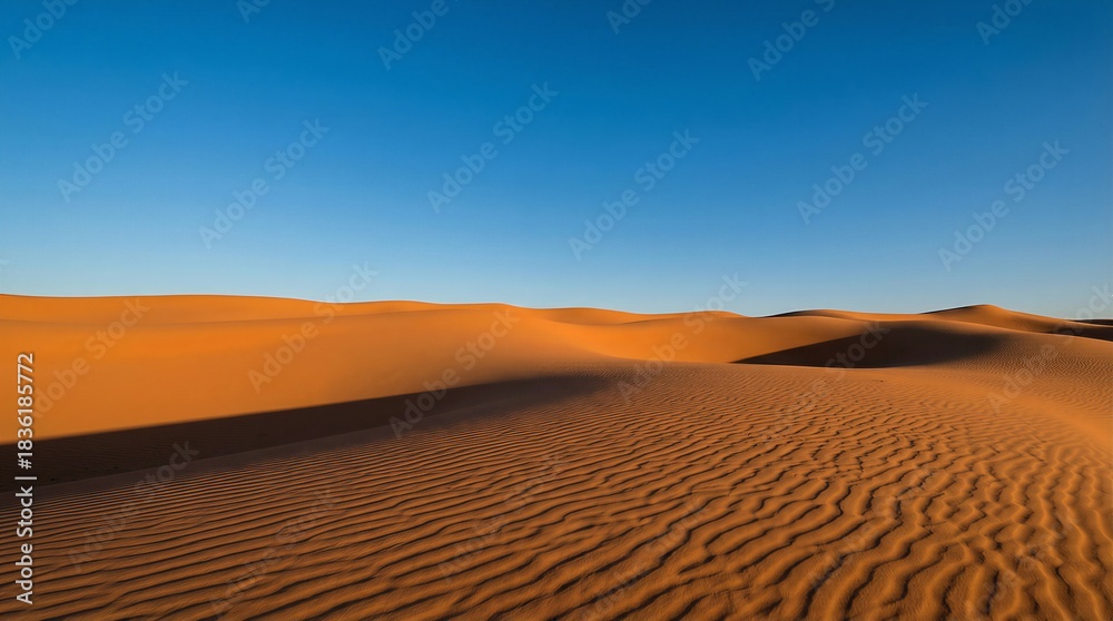 Naklejka premium Sahara Desert Sand Dunes Texture at Golden Hour