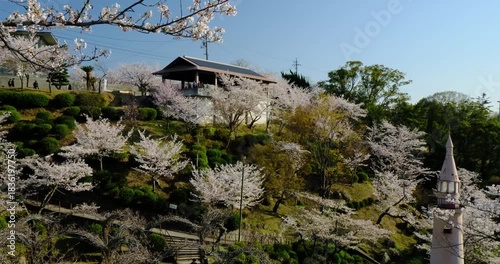 桜咲く千光寺公園　広島県　パン映像
