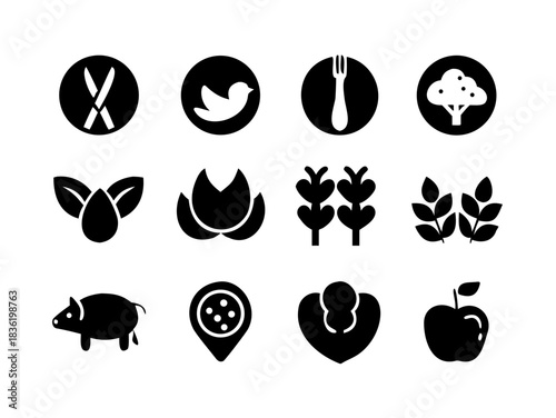 A black and white image of a white cat sitting on a dark surface