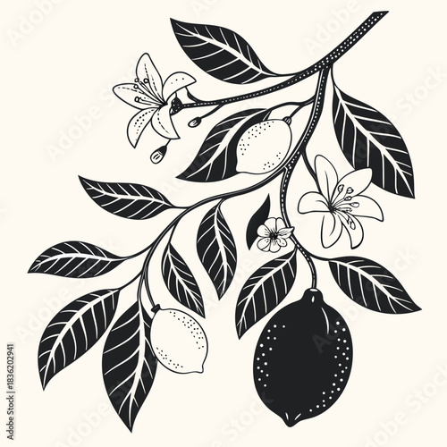 branch of cherry tree