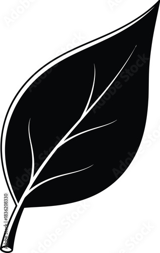 Black silhouette of a single leaf with veins on a white background plant nature