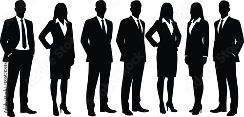 Professional business team silhouettes standing together in formal corporate attire representing leadership, teamwork, diversity, collaboration, unity, and modern workplace professionalism