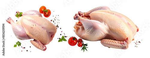 Fresh Whole Poultry with Aromatic Herbs and Vegetables on White Background”