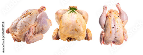 Fresh Whole Poultry with Aromatic Herbs and Vegetables on White Background”