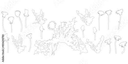 Dandelion flower, set of contours. Vector illustration.