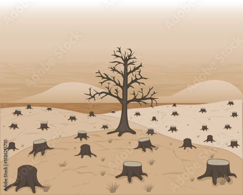 dry, barren, cracked land and a sandy gray sky are a sign of drought. Trees that have been cut down have one tree in the middle that has dried up due to illegal logging.