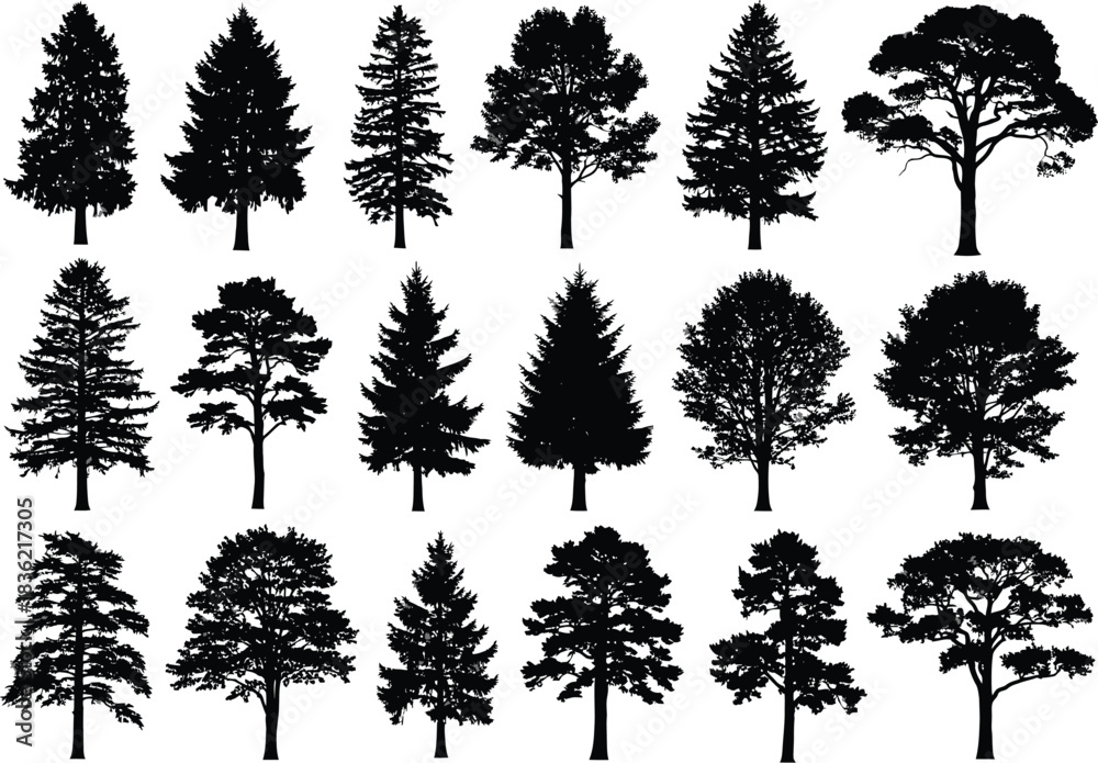 Fototapeta premium Collection of diverse evergreen and deciduous tree silhouettes in a stylized artistic illustration against a white background