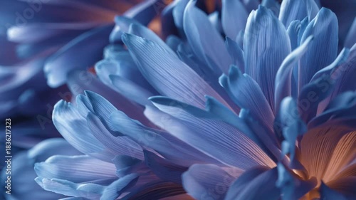 Time-lapse flower blooming, delicate petals opening, nature macro shot, vibrant colors 4K