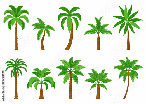 Collection of diverse cartoon palm trees with green leaves and brown trunks
