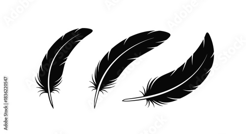 A minimalist graphic illustration featuring a collection of three elegant black feathers, isolated on a clean white background.