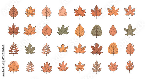 A collection of various autumn leaves in different shapes and colors, depicted in a simple, hand-drawn style, isolated on a white background.