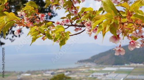 Wallpaper Mural 滋賀・近江八幡　八幡山山頂からの景観 Torontodigital.ca
