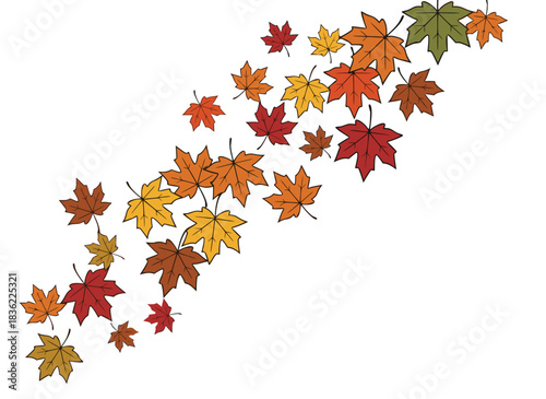 Falling Maple Leaves in Autumn Colors Orange Red Yellow and Green on a Black Background as a Decorative Pattern