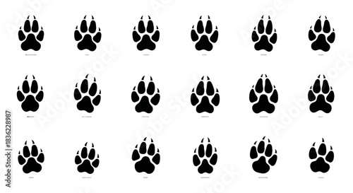 Collection of black animal paw prints on a white background