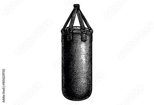 Vintage engraved illustration of a punching bag — stock vector.