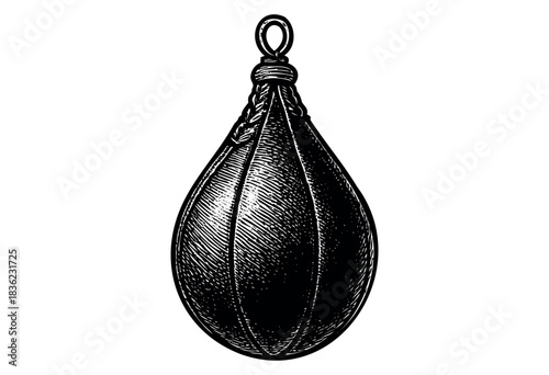 Vintage engraved illustration of a boxing speed bag — stock vector.