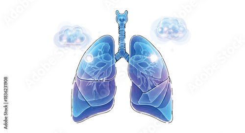 Healthy lungs breathing fresh air, symbolizing respiration and well-being