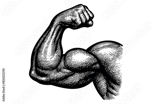 Vintage engraved illustration of a flexed muscular arm — stock vector.