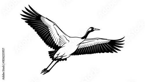 Majestic crane flying gracefully with powerful wings perfect for environmental projects and wildlife conservation efforts