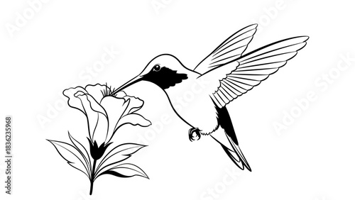 Elegant hummingbird sipping nectar from a beautiful flower in a serene black and white design