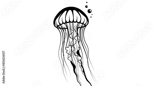 Elegant jellyfish illustration with flowing tentacles and bubbles for ocean themed designs