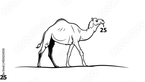 Walking camel line art for desert adventure designs and travel concepts with number 25 for themed illustrations