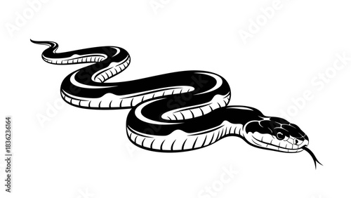Striking black and white snake illustration, perfect for tattoo design or edgy graphic elements for your modern project