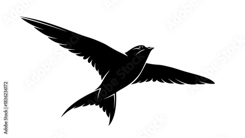 Elegant swift silhouette soaring with wings spread in graceful flight against a bright white backdrop
