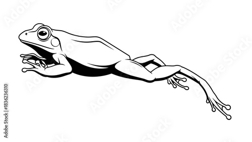 Sleek monochrome frog illustration ideal for nature enthusiasts and educational materials needing amphibian representation