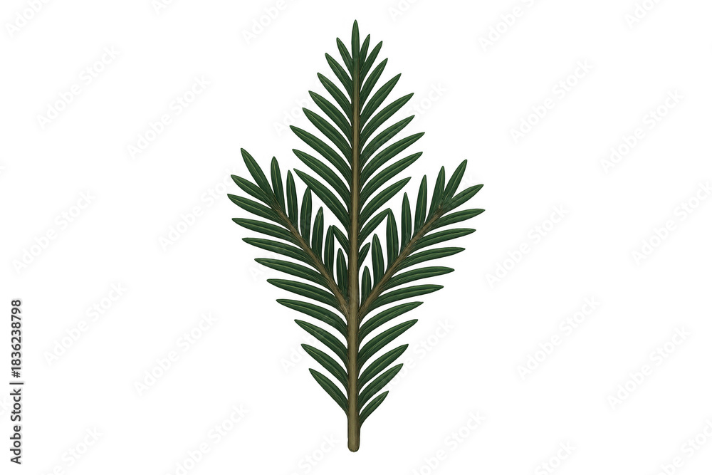 Fototapeta premium Fir branch on transparent background. Creating holiday atmosphere, christmas decoration, winter plant elements, and nature themes