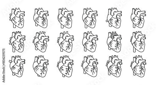Detailed anatomical human heart illustrations presented in a repeating line art pattern