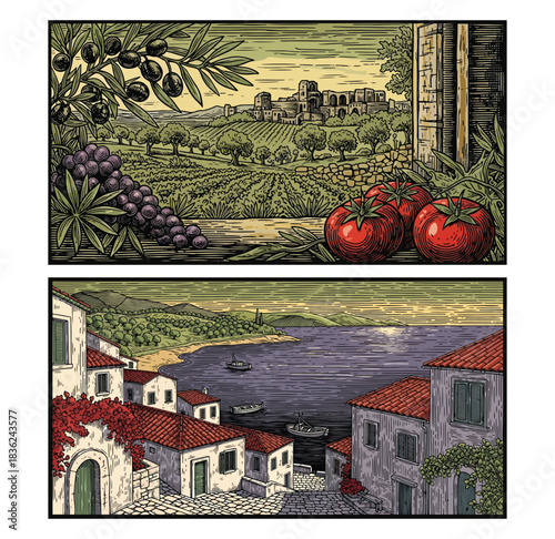 Mediterranean Coastal Village and Countryside Vineyard Illustrations with Tomatoes, Grapes and Olive Branch in Vintage Art Style
