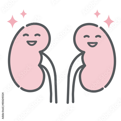 健康で元気な腎臓のキャラクターイラスト（正常・笑顔）