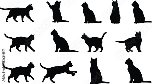Cat silhouette icon set, black feline vector, editable stroke, various poses, pet graphic, animal movement illustration