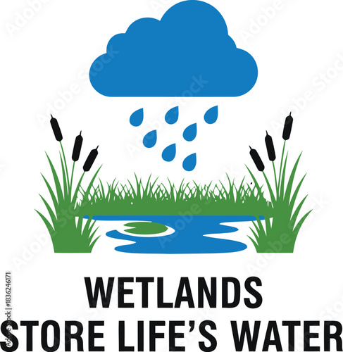 Wetlands store life s water conservation ecology hydrology rain nature ecosystem sustainability environmental protection