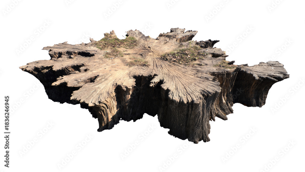 Obraz premium A detailed image of a weathered, ancient tree stump featuring prominent annual rings, natural textures, and a rugged, rustic appearance. background removed