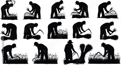 Harvest, sickle, crop, silhouette, posture, gesture, bend, cut, bundle, rural, manual, labor, field, agriculture, traditional, vector, black, pose, setup, flavector