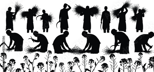 Harvest, crop, plant, silhouette, posture, gesture, sickle, bundle, bend, cut, stand, field, rural, manual, labor, agriculture, traditional, vector, black, flavector
