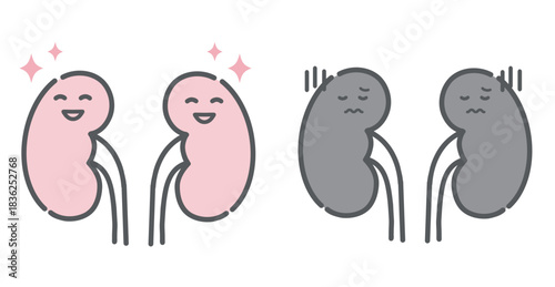 健康な腎臓と不調な腎臓の比較イラスト（キャラクター）