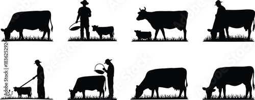 Cow, farmer, silhouette, calf, grazing, milking, feeding, posture, bucket, bottle, vector, black, pose, setup, agriculture, livestock, dairy, rural, field, flavectorCow, farm