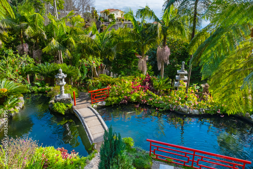 Serene Koi fish pond in Monte Palace tropical garden on Madeira surrounded by lush greenery, featuring colorful fish and serene scenery