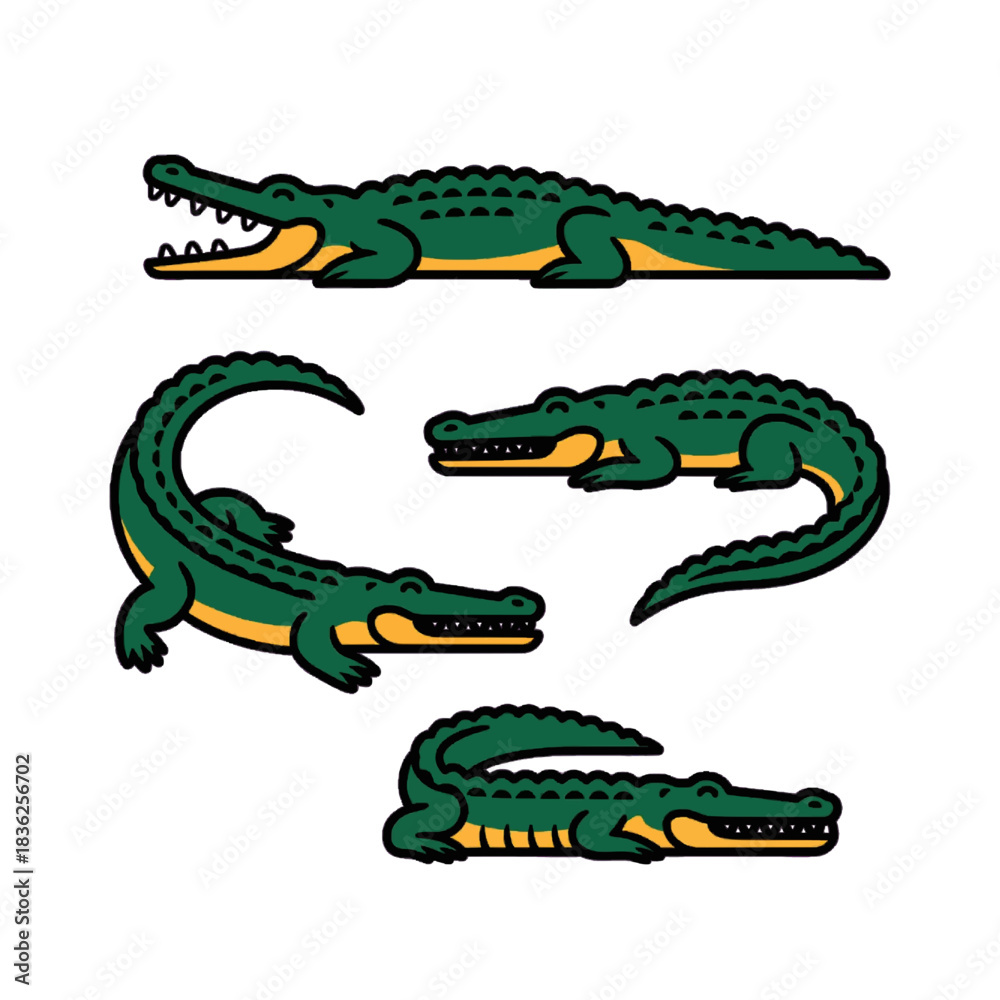 Obraz premium “Set of four crocodile poses vector illustration isolated on transparent background”