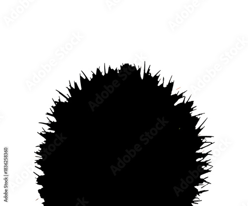 Kaktus Kaktusgrafik Grafik