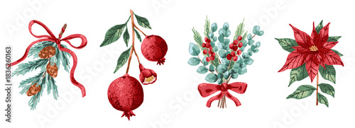 Pomegranate plant branch with fruit and flowers in red color. Botanical flat illustration