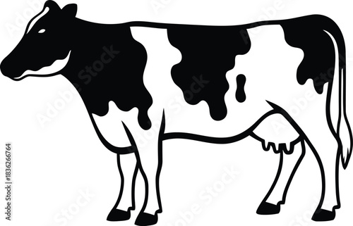 Dairy cow vector illustration, side view of farm animal livestock isolated on white background, Vector, illustration