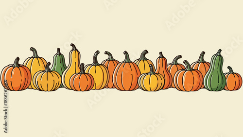 A festive horizontal banner of autumn pumpkins and squashes. Hand-drawn fall harvest gourds in a decorative row for seasonal design