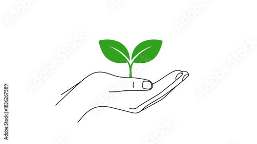 Hand Holding Seedling Symbol of Growth, Nature, and Environmental Sustainability